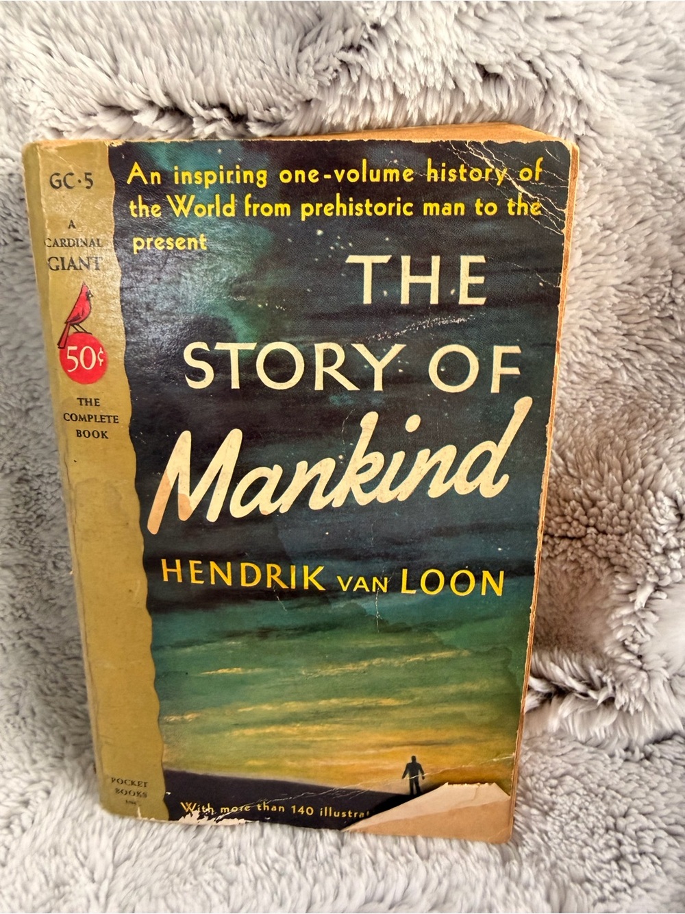 The Story of Mankind by Hendrik van Loon - Vintage Blue & Yellow Cover